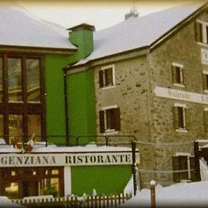 Genziana Italia